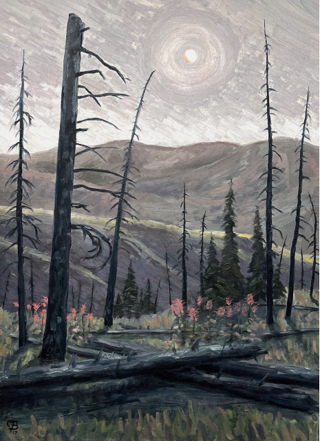 Painting of Frank Church Wilderness in Idah, a few years after a major forest fire