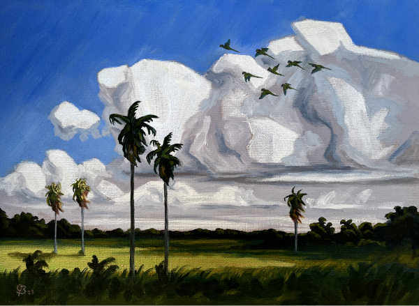 Painting of clouds and palm trees in Paraguay, South America